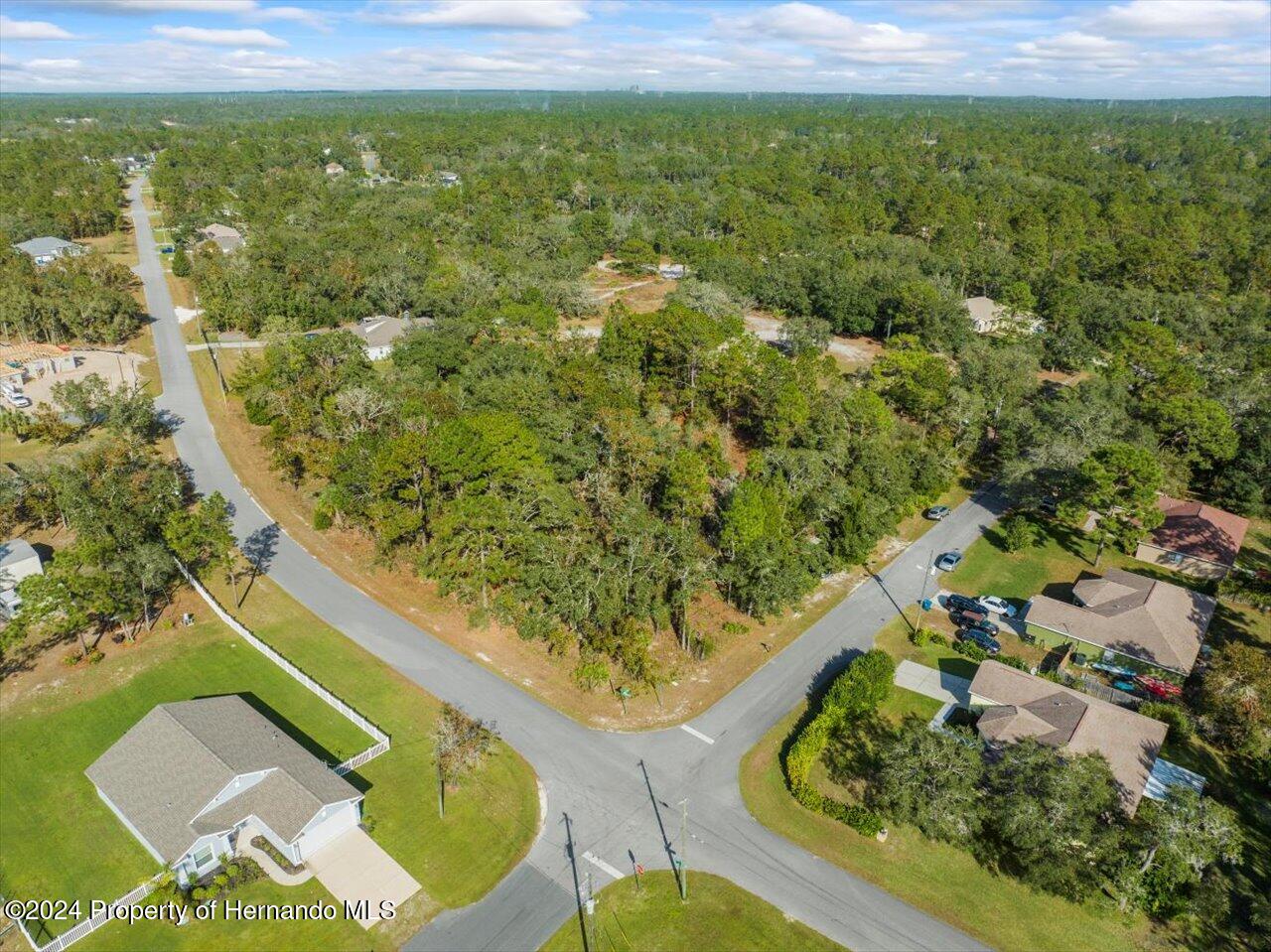 12078 Lark Sparrow Road Brooksville, FL 34614 - Photo 13 of 20 a view of a floor to ceiling window and a yard