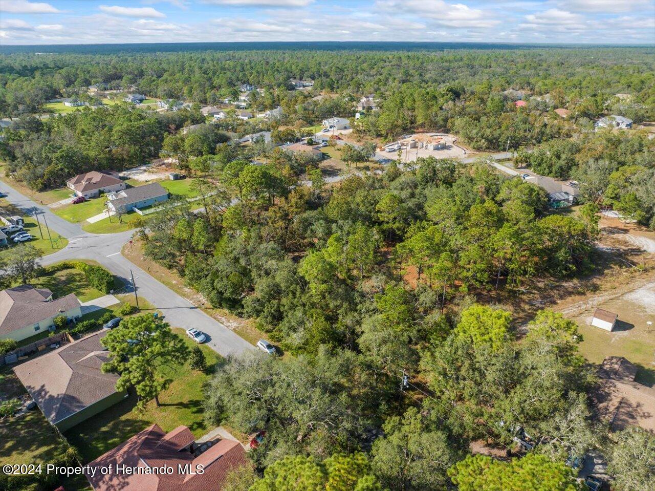 12078 Lark Sparrow Road Brooksville, FL 34614 - Photo 15 of 20 an aerial view of a houses with a yard