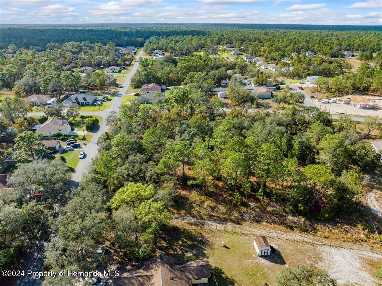 12078 Lark Sparrow Road Brooksville, FL 34614 - Photo 16 of 20 a view of a garden with a lot of trees