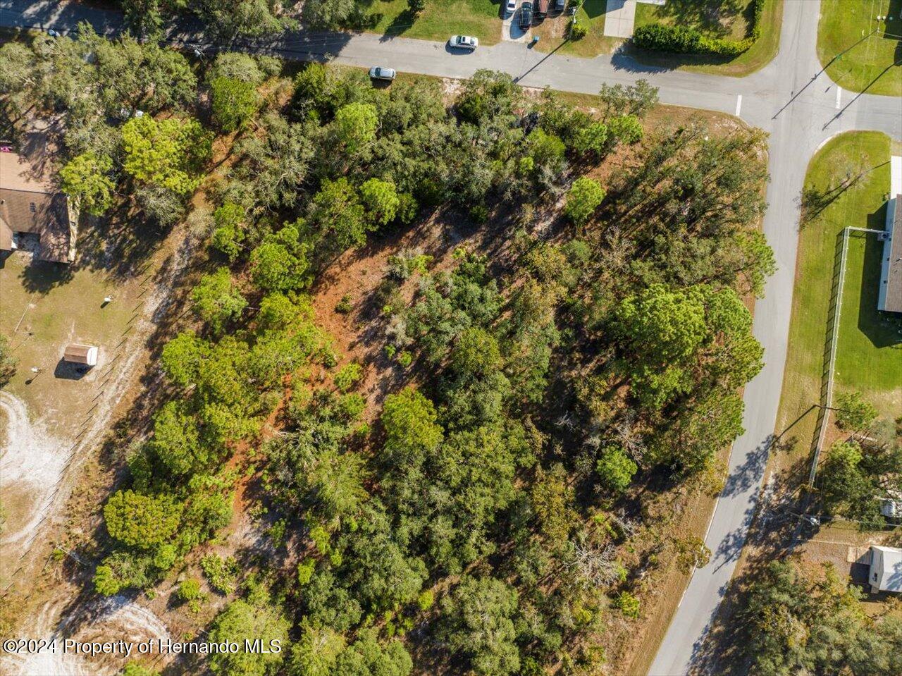 12078 Lark Sparrow Road Brooksville, FL 34614 - Photo 20 of 20 a view of a bunch of flowers and trees