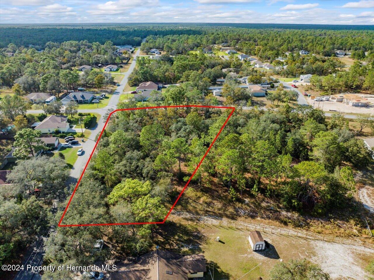 12078 Lark Sparrow Road Brooksville, FL 34614 - Photo 5 of 20 a view of a garden with a lot of plants and bench