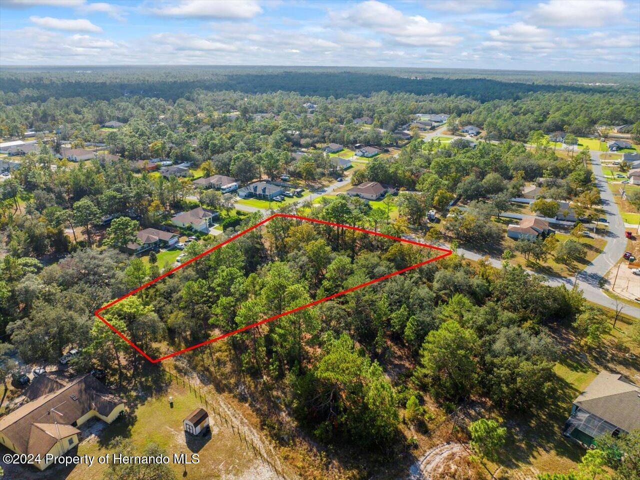 12078 Lark Sparrow Road Brooksville, FL 34614 - Photo 6 of 20 an aerial view of residential houses with outdoor space and trees