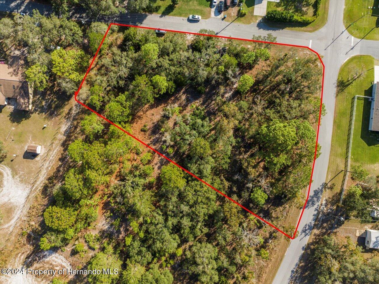 12078 Lark Sparrow Road Brooksville, FL 34614 - Photo 9 of 20 a picture of a tree