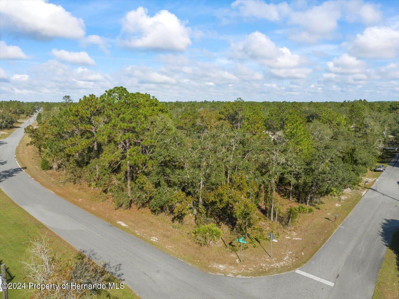 12078 Lark Sparrow Road Brooksville, FL 34614 - Photo 10 of 20 a view of a swimming pool with a yard