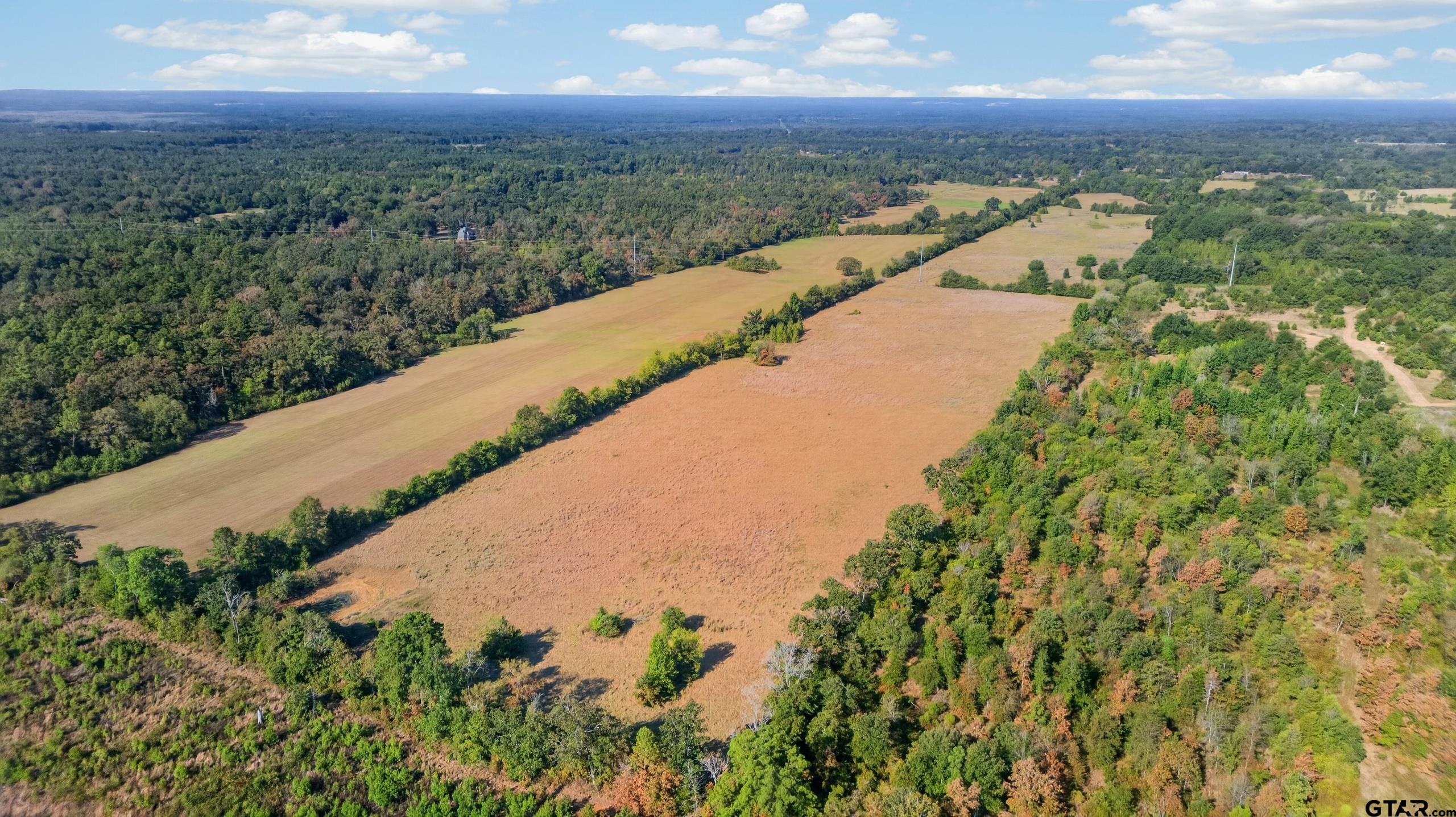 622 Fm 839 Street Reklaw, TX 75784 - Photo 1 of 31 60.39 ACRE Tract