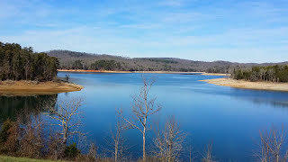 Lot 599 Russell Brothers Road Sharps Chapel, TN 37866 - Photo 18 of 19 All year long!