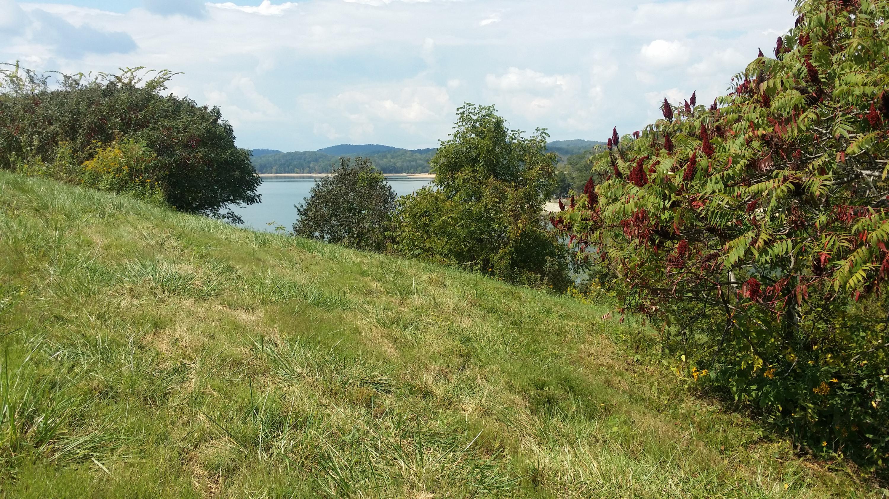 Lot 599 Russell Brothers Road Sharps Chapel, TN 37866 - Photo 6 of 19 Gentle slope to water