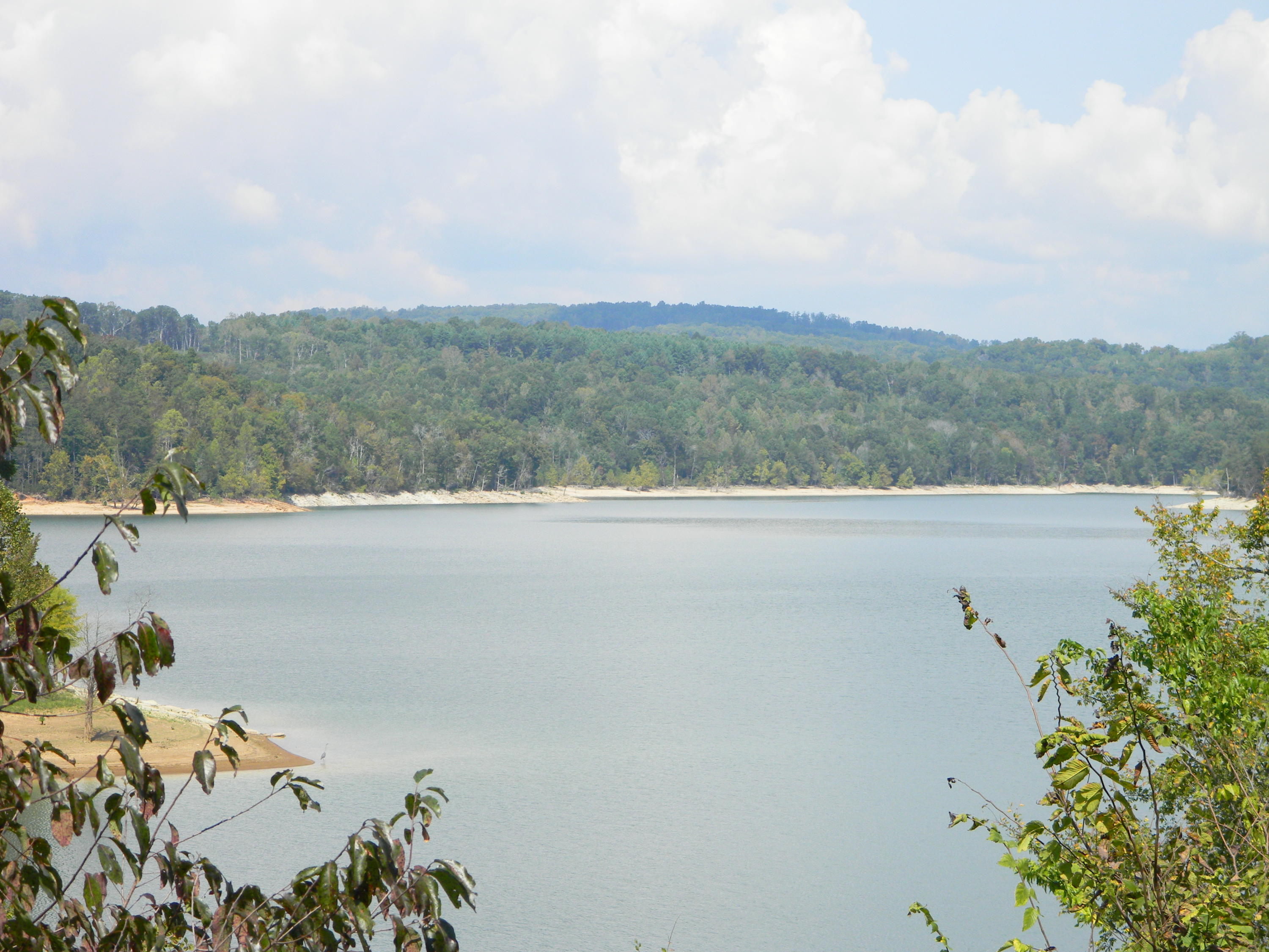 Lot 599 Russell Brothers Road Sharps Chapel, TN 37866 - Photo 7 of 19 Views year round
