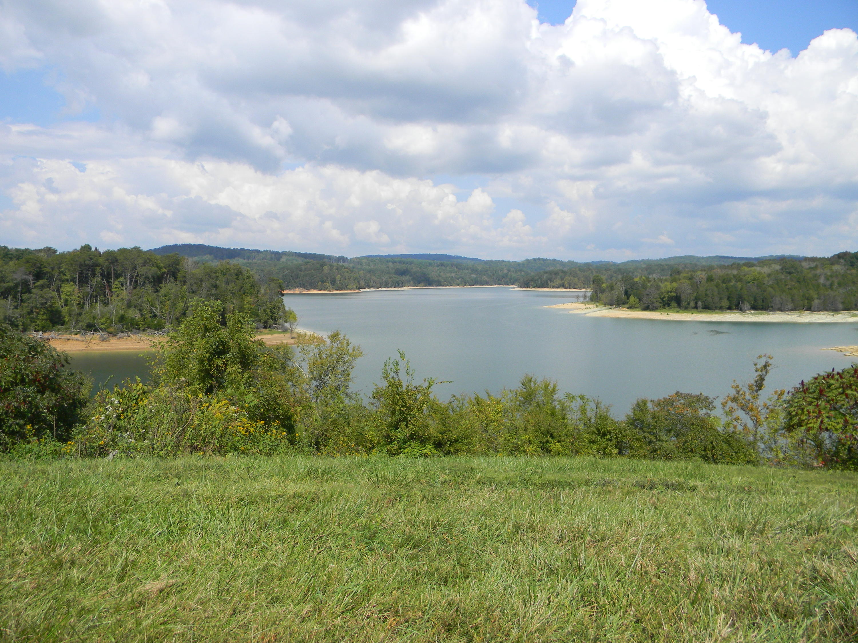 Lot 599 Russell Brothers Road Sharps Chapel, TN 37866 - Photo 8 of 19 Wildlife management Area
