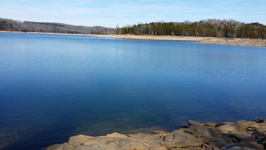 Lot 599 Russell Brothers Road Sharps Chapel, TN 37866 - Photo 10 of 19 Gentle shoreline