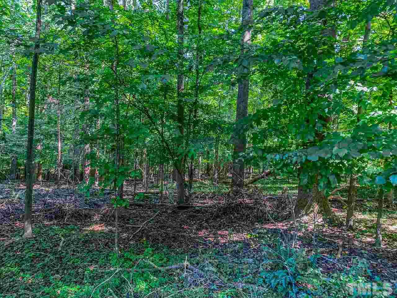 890 Harris Mill Road Rougemont, NC 27572 - Photo 27 of 29