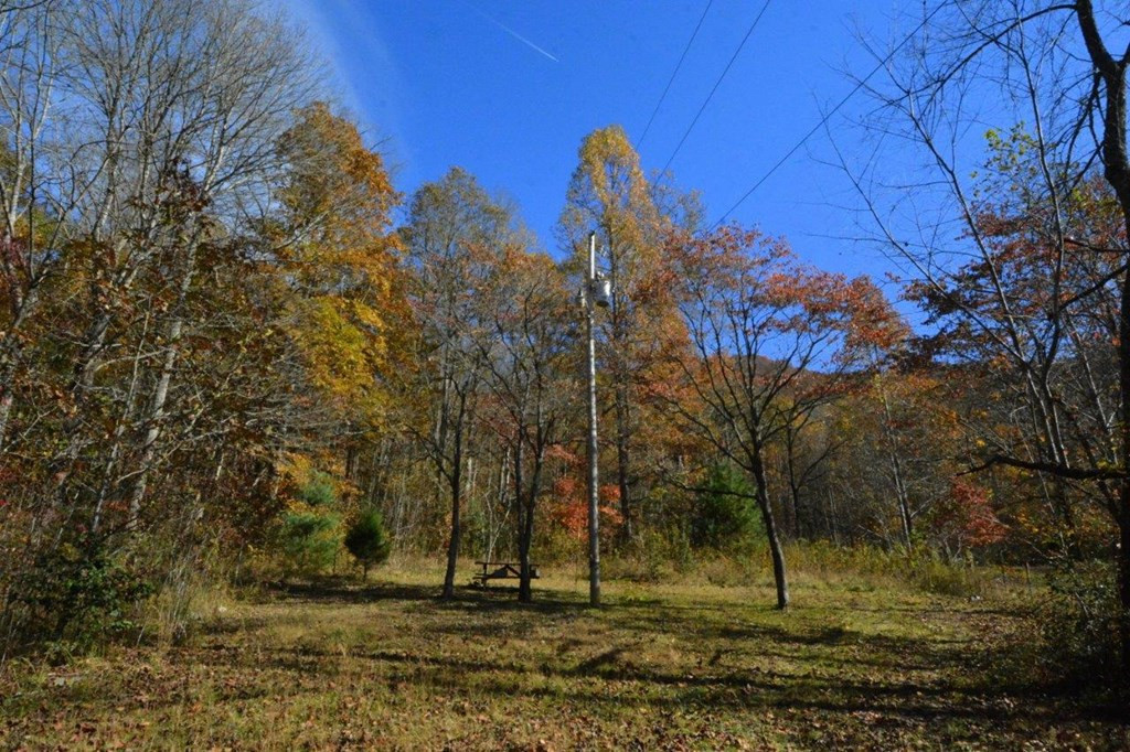 1730 Franks Creek Road Robbinsville, NC 28771 - Photo 27 of 36