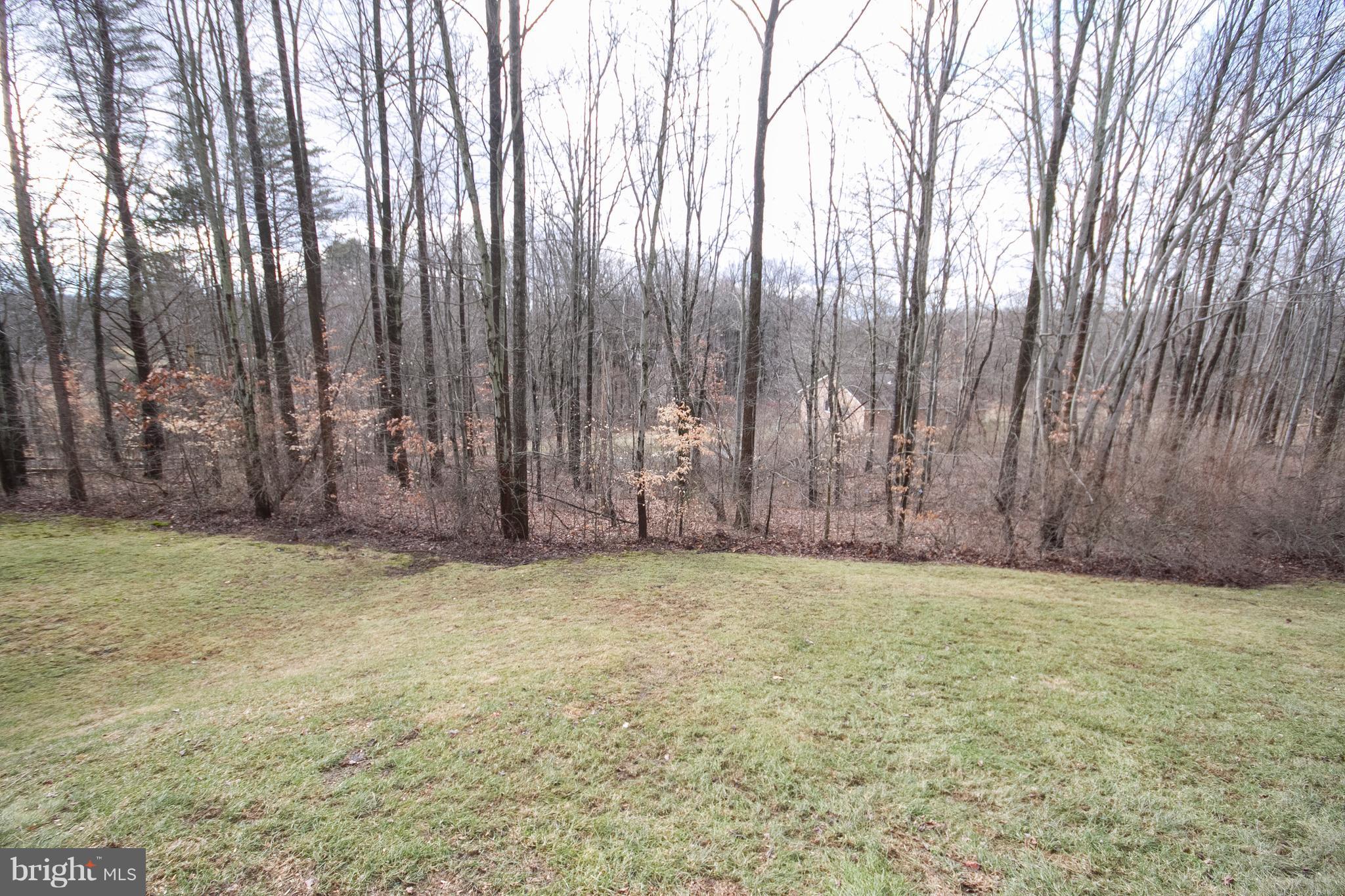 3028 Shepperd Road Monkton, MD 21111 - Photo 23 of 23 a view of a yard with large trees