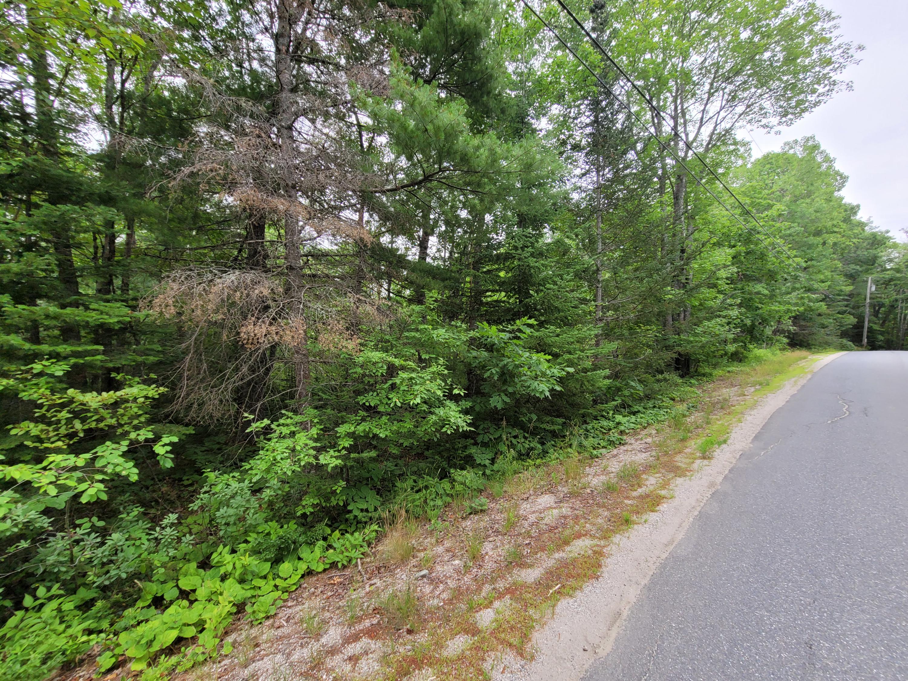 20 Matty Way Franklin, ME 04634 - Photo 17 of 18 20210708_105201