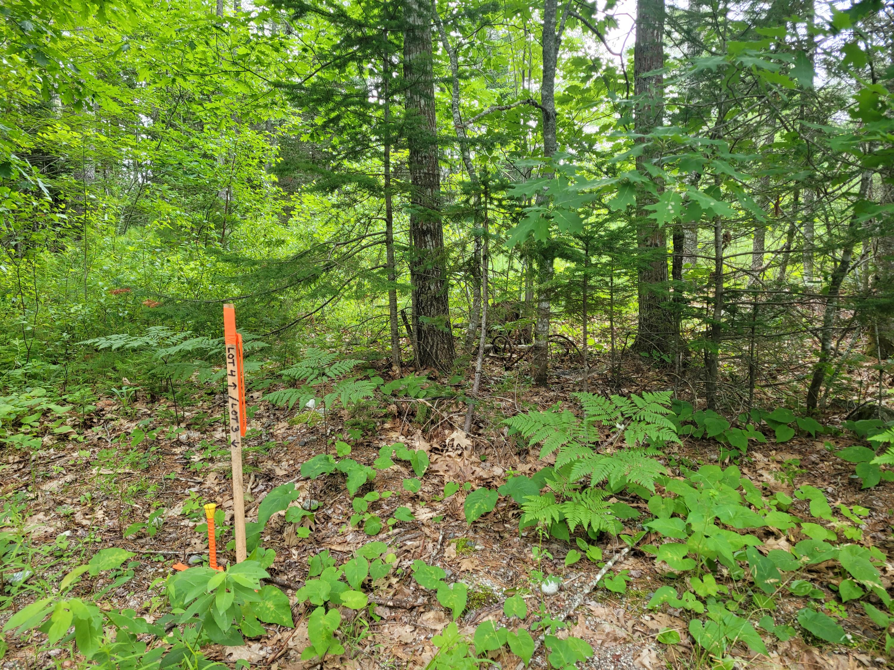 20 Matty Way Franklin, ME 04634 - Photo 4 of 18 20210708_104653