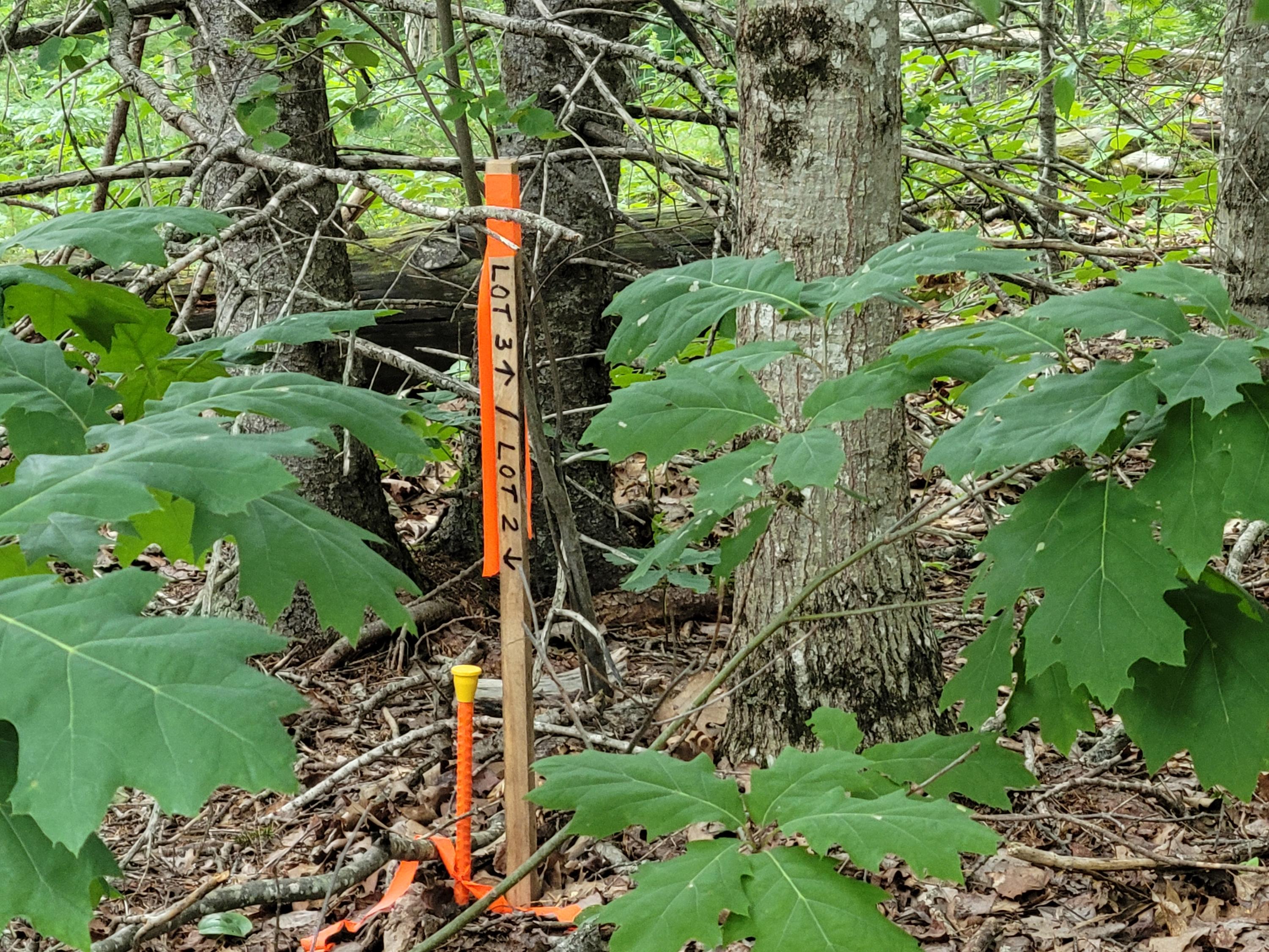 20 Matty Way Franklin, ME 04634 - Photo 8 of 18 20210708_105008