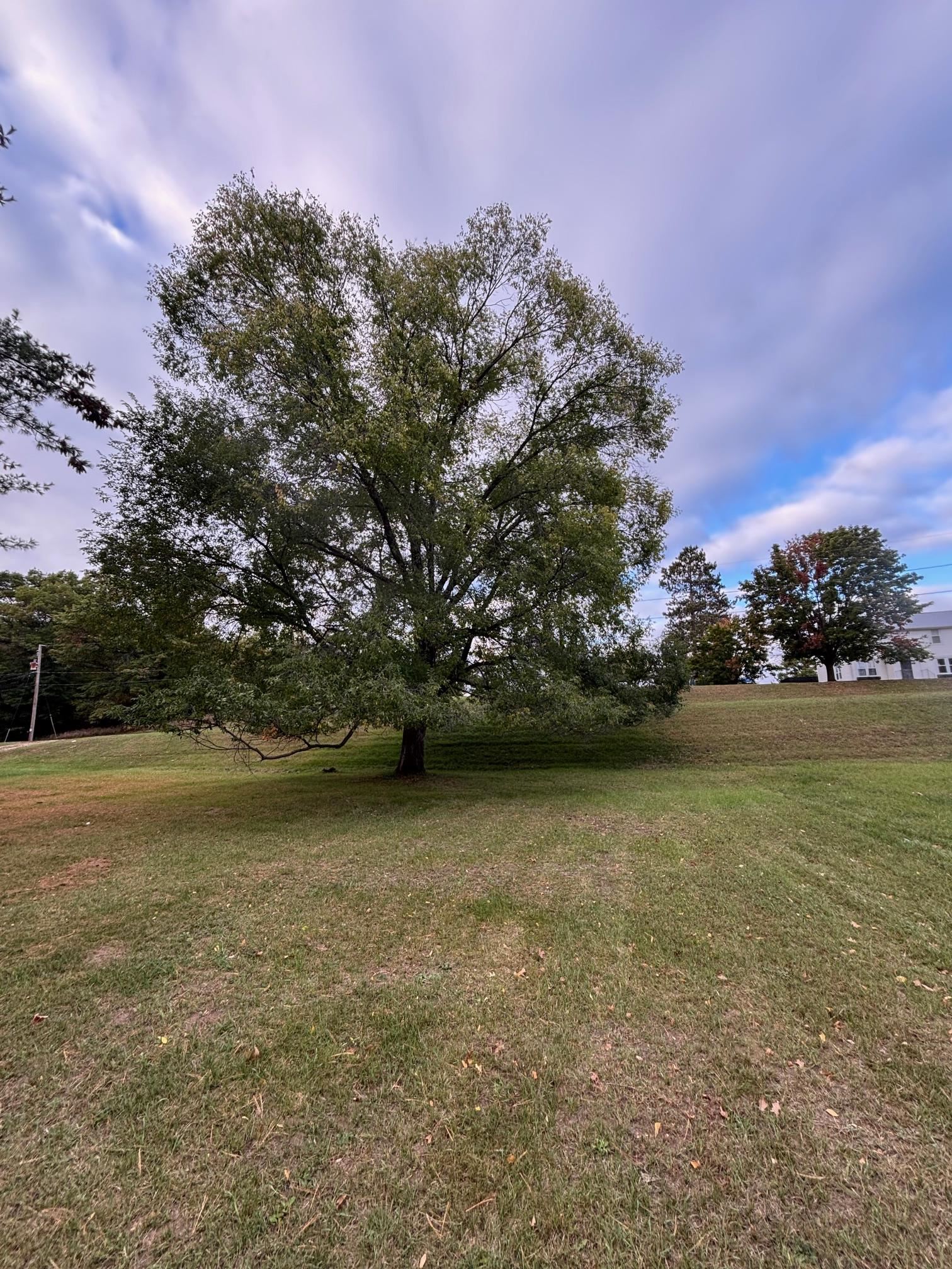 810 8th Alley Crivitz, WI 54114 - Photo 30 of 38