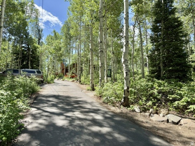 12498 East Wilderness Road Brighton, UT 84121 - Photo 12 of 40