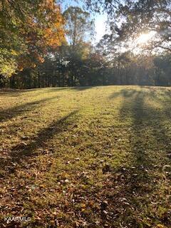 1450 Kiser Road Philadelphia, TN 37846 - Photo 10 of 39 IMG_2620 (2)