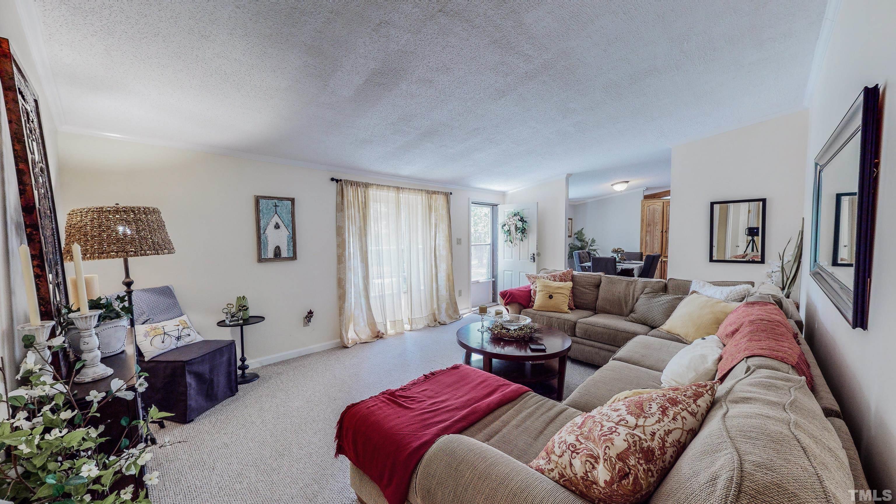 893 Harris Mill Road Rougemont, NC 27572 - Photo 3 of 30 a living room with furniture or couch and a potted plant