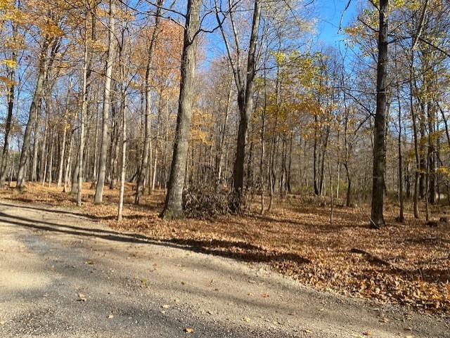 868 West 4 Road, Unit LOT: A Buckley, MI 49620 - Photo 13 of 20 Gallery Image 13