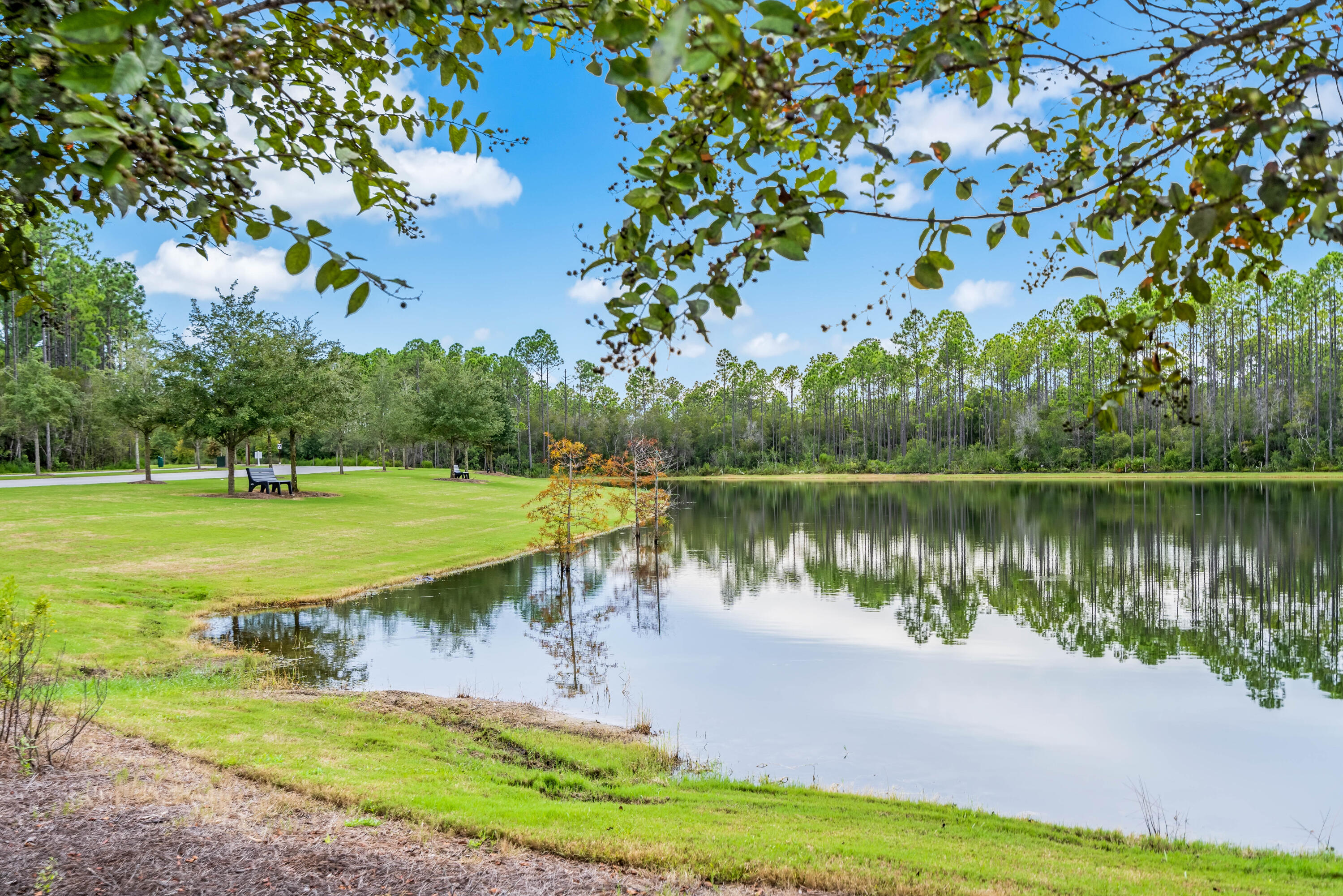 30 River Rise Way Inlet Beach Inlet Beach, FL 32461 - Photo 58 of 61 a view of a lake with a yard and large trees