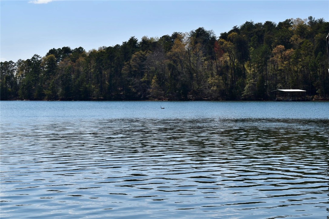 Lot G James Hare Road Anderson, SC 29626 - Photo 1 of 31 This .79 acre lake lot is a rare find! Located on