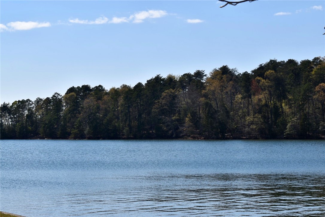 Lot G James Hare Road Anderson, SC 29626 - Photo 3 of 31 This lot offers 136 feet of waterfront in a privat