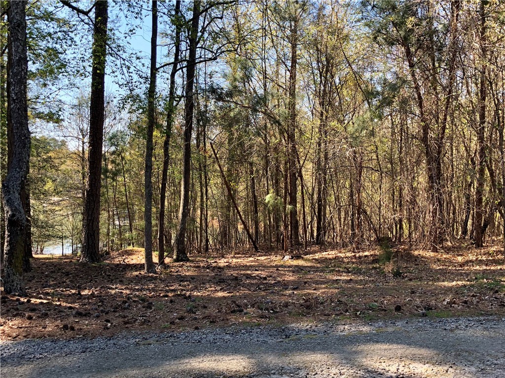 Lot G James Hare Road Anderson, SC 29626 - Photo 10 of 31 The front of the lot measures 167 feet.