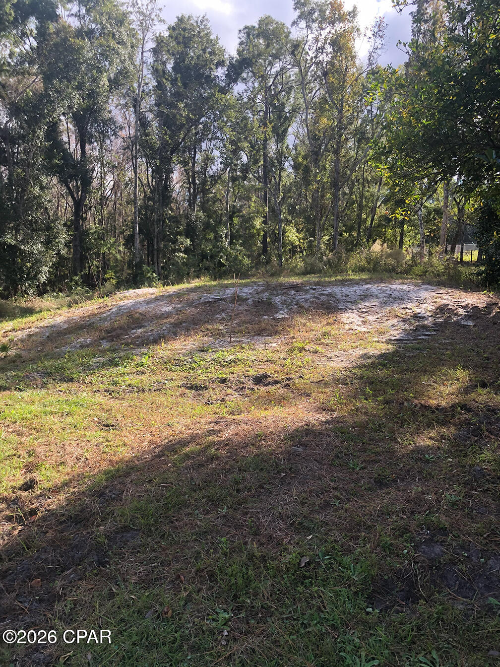 7322 Max Fleming Road Wewahitchka, FL 32465 - Photo 3 of 9