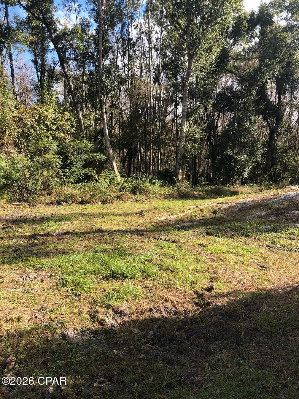 7322 Max Fleming Road Wewahitchka, FL 32465 - Photo 4 of 9