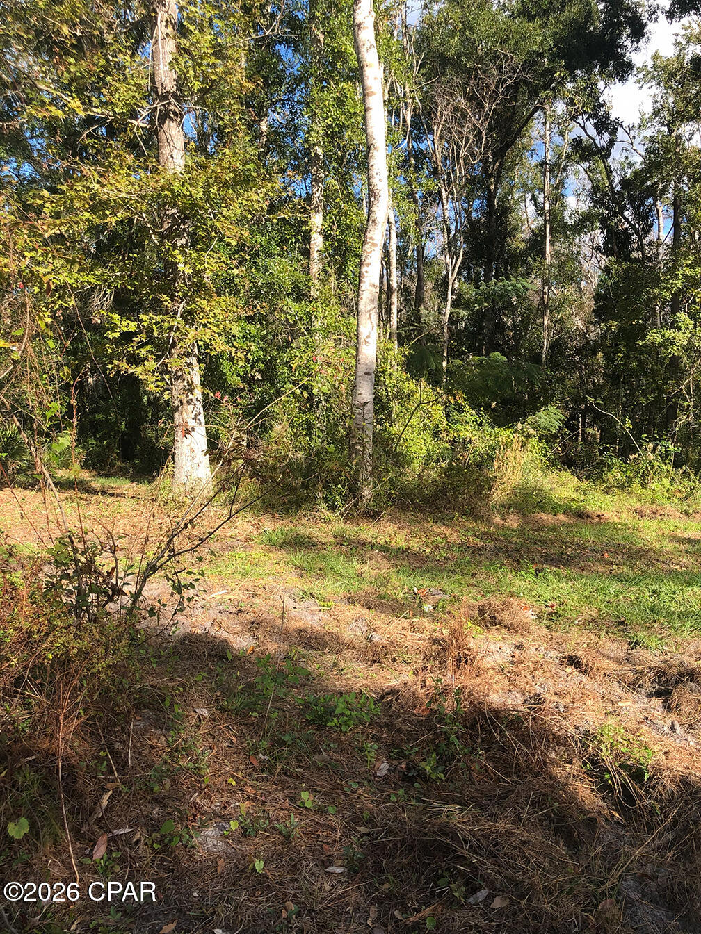 7322 Max Fleming Road Wewahitchka, FL 32465 - Photo 6 of 9