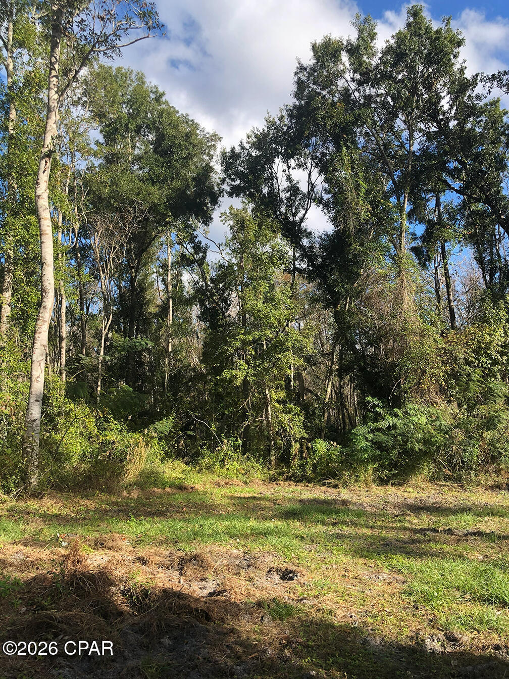 7322 Max Fleming Road Wewahitchka, FL 32465 - Photo 7 of 9