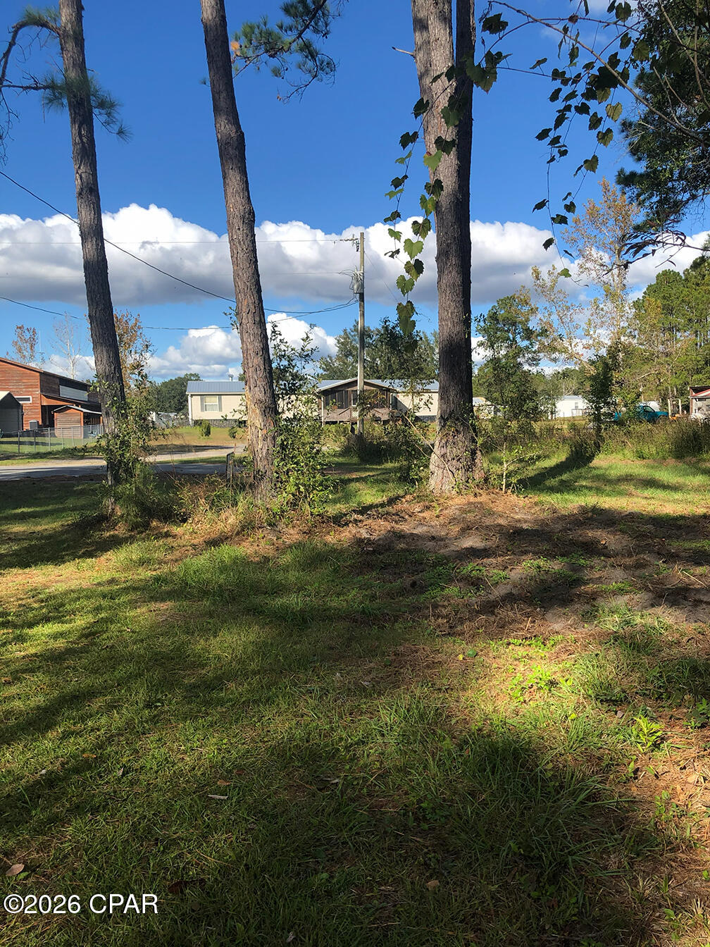 7322 Max Fleming Road Wewahitchka, FL 32465 - Photo 8 of 9