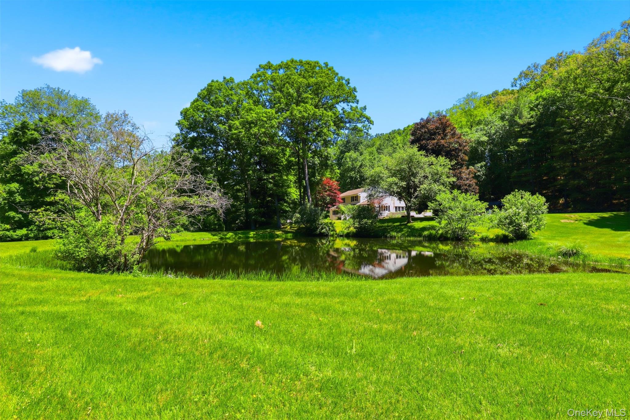 13 Schildbach Road Pound Ridge, NY 10576 - Photo 39 of 46