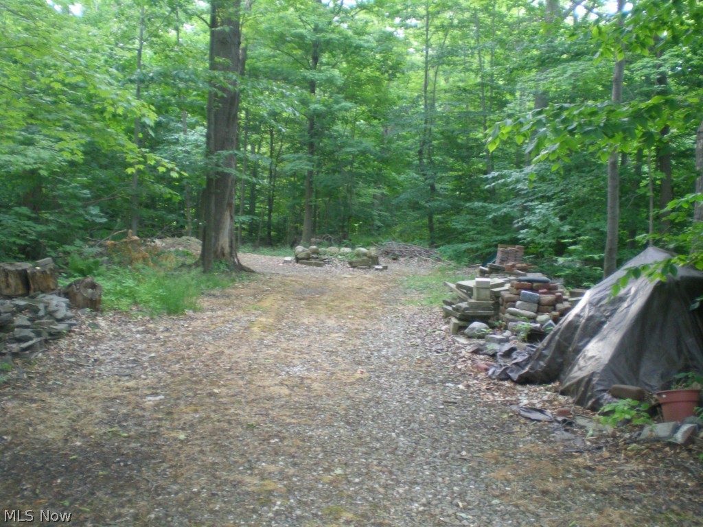 11801 Summers Road Chesterland, OH 44026 - Photo 24 of 25
