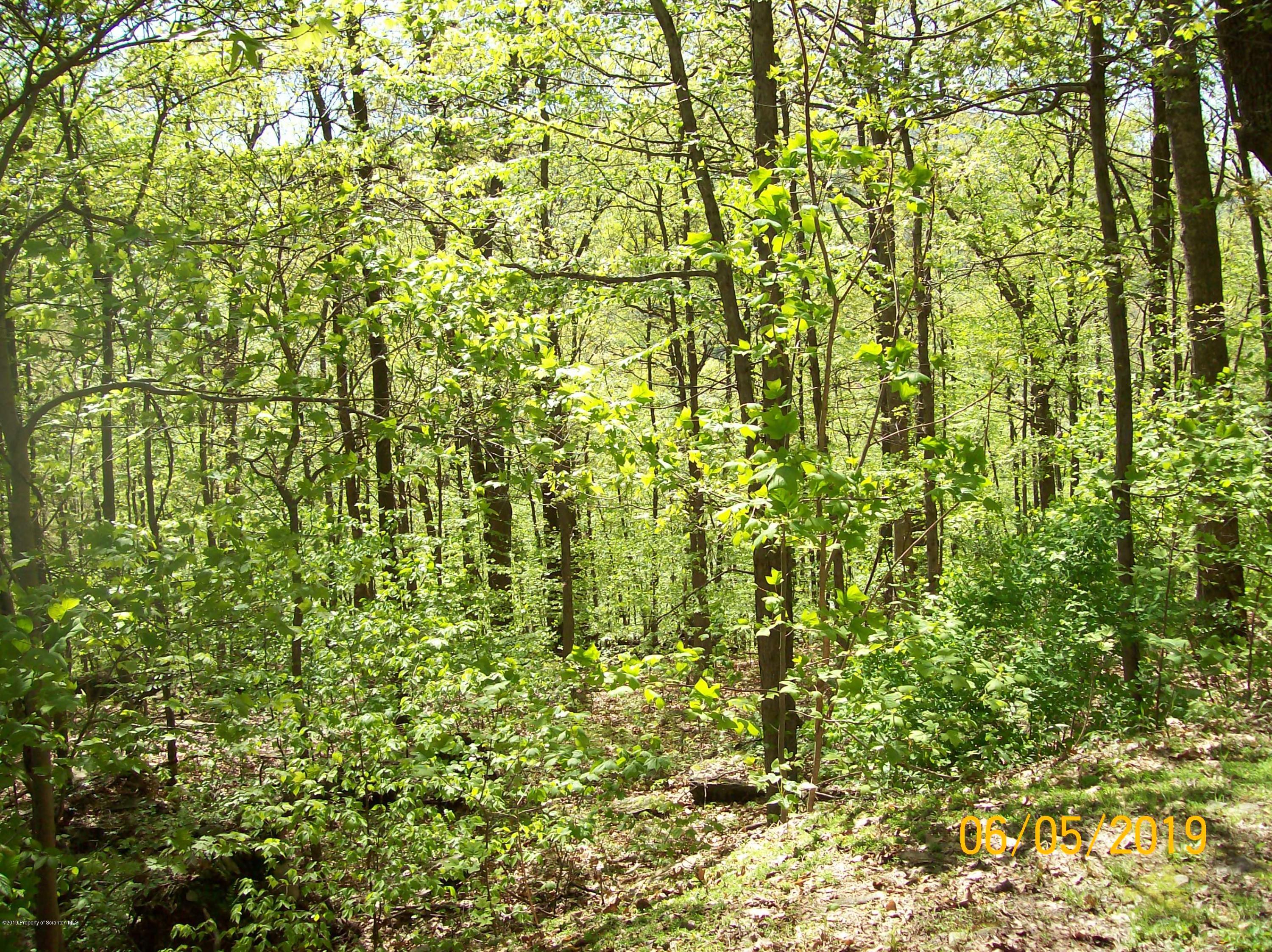 146 Rabbit Lane Tunkhannock, PA 18657 - Photo 35 of 37 Gallery Image 35