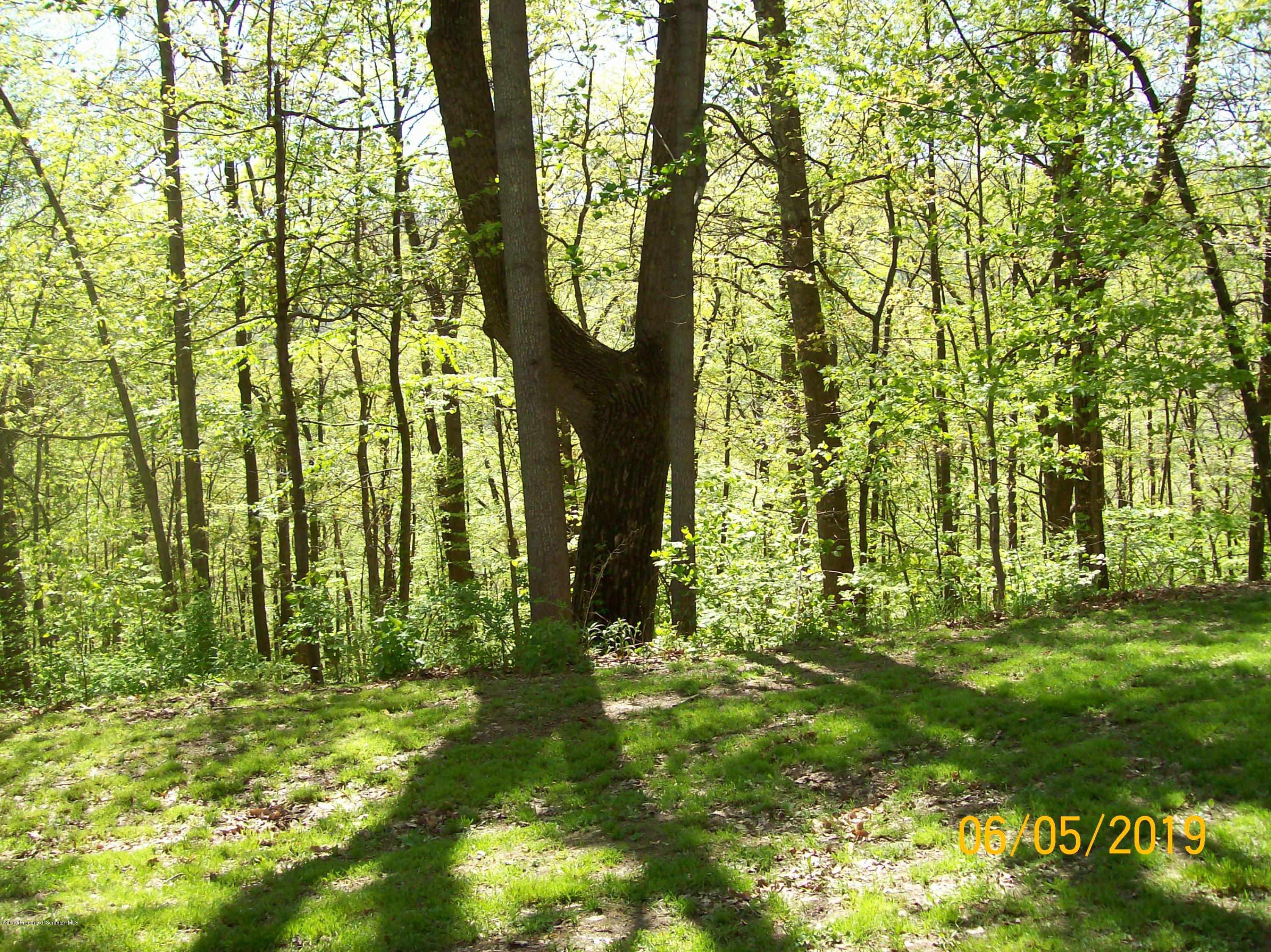146 Rabbit Lane Tunkhannock, PA 18657 - Photo 36 of 37 Gallery Image 36