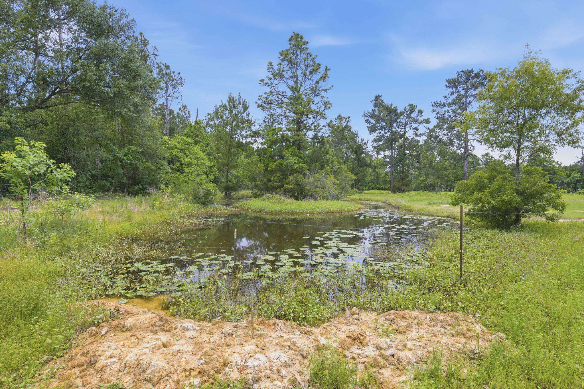 212 Andrew Mouhot Road Ragley, LA 70657 - Photo 11 of 35 Gallery Image 11