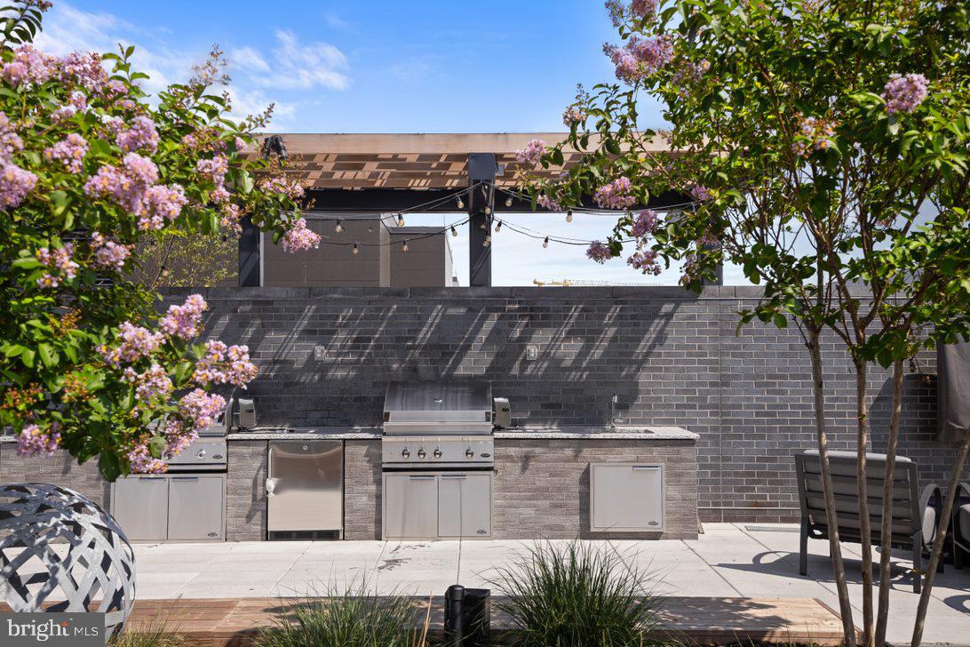 70 N Street Southeast, Unit 1015 Washington, DC 20003 - Photo 14 of 21 eNvy - roof-top grills