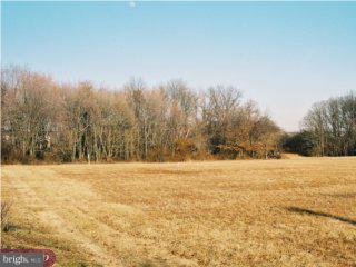 144 Durham Road Newtown, PA 18940 - Photo 5 of 6 Gallery Image 5
