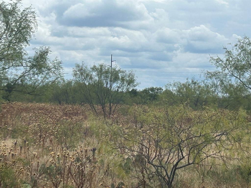 16 North N Loop Graford, TX 76449 - Photo 9 of 19