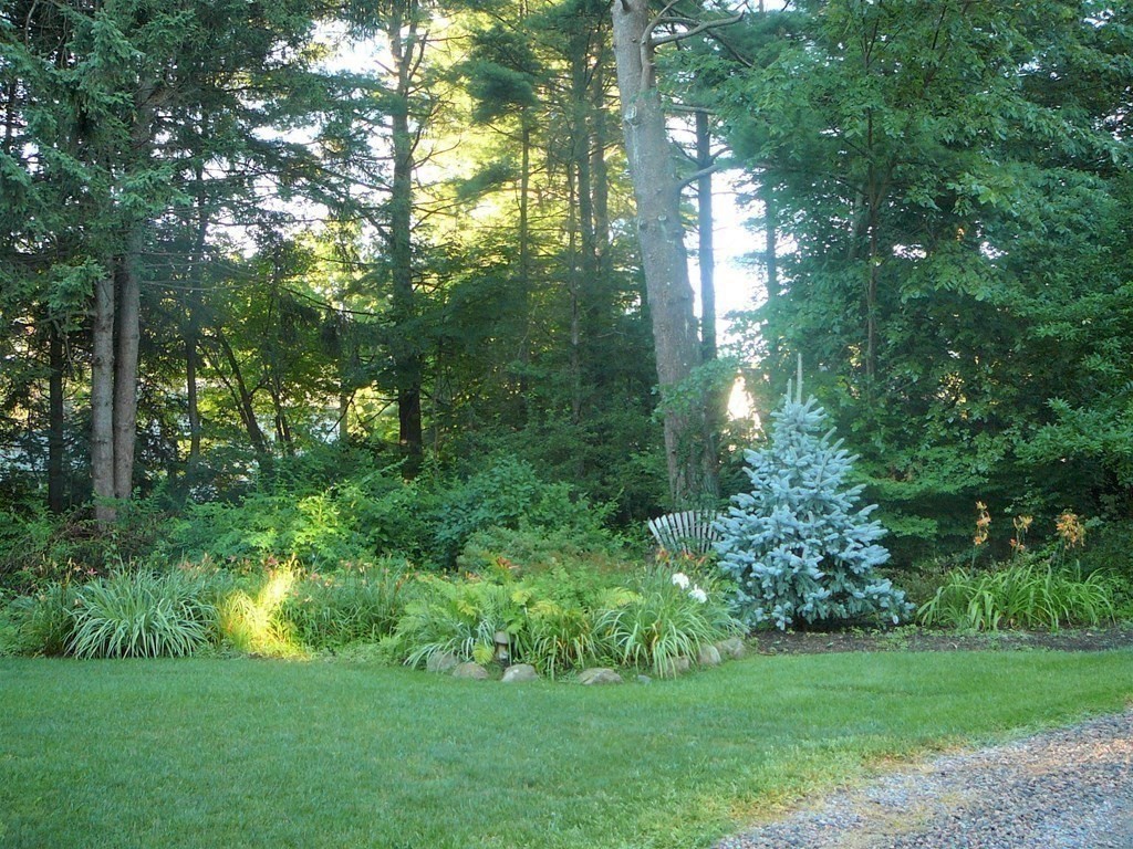 30 Mayo Road Wellesley, MA 02482 - Photo 29 of 33 a view of a garden with a house