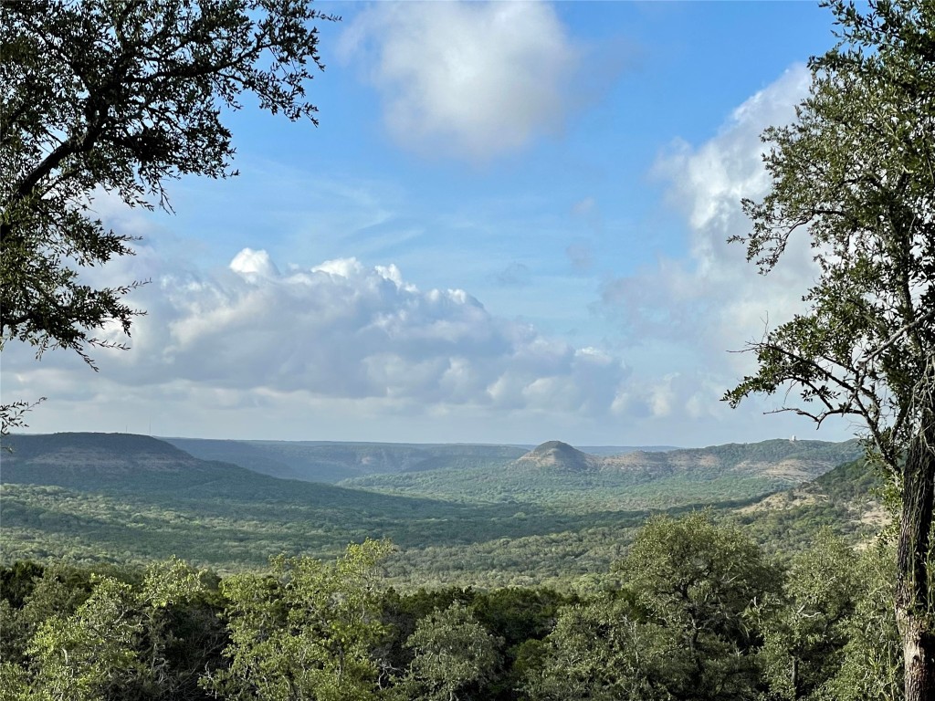 a view of lake with green field