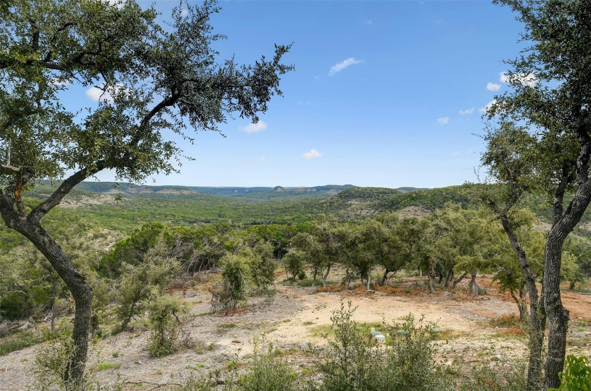 640 Ghost Dancer Fischer, TX 78623 - Photo 25 of 40 a view of a yard with a tree