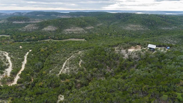 a view of a mountain with a forest