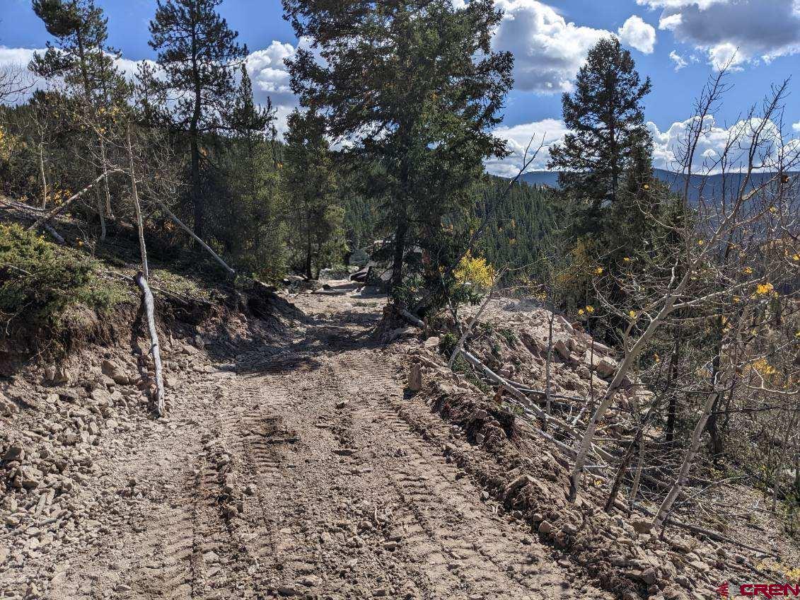 1675 Chicago Park Road Pitkin, CO 81241 - Photo 4 of 9