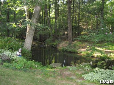 4352 Timberline Road Walnutport, PA 18088 - Photo 4 of 11 Pond