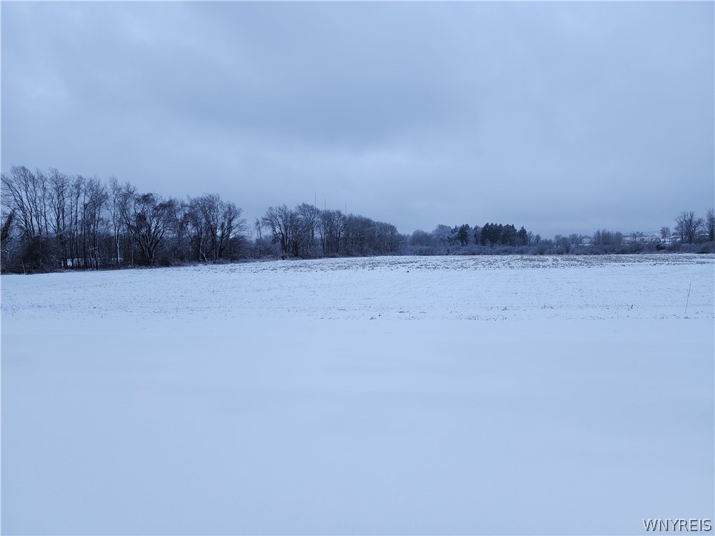 0 Waverly Street Springville, NY 14141 - Photo 5 of 6