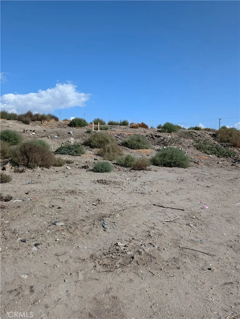 a view of a dry field with mountains in the background